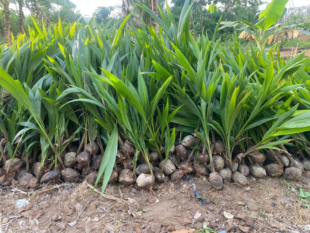 Monat Farms